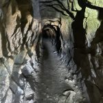 IMG_8109